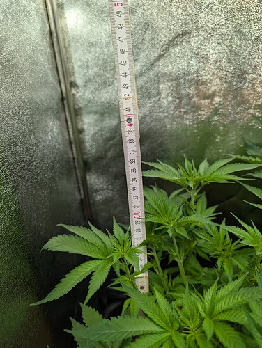 Growreport Bild 20