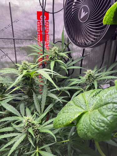 Growreport Bild 6