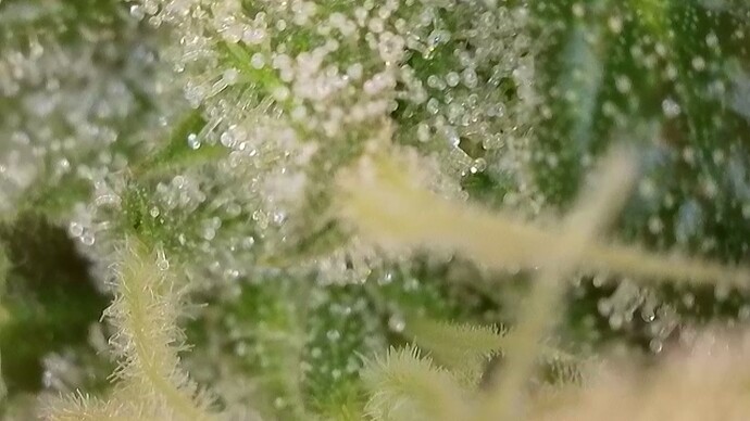 2025-10-22-075131688