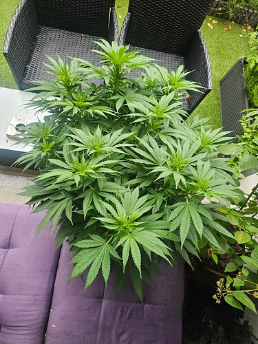 Growreport Bild 19