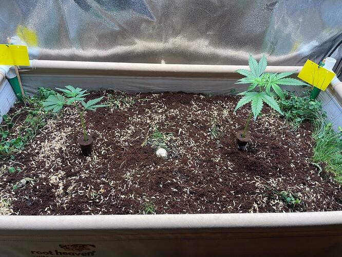 Growreport Bild 27