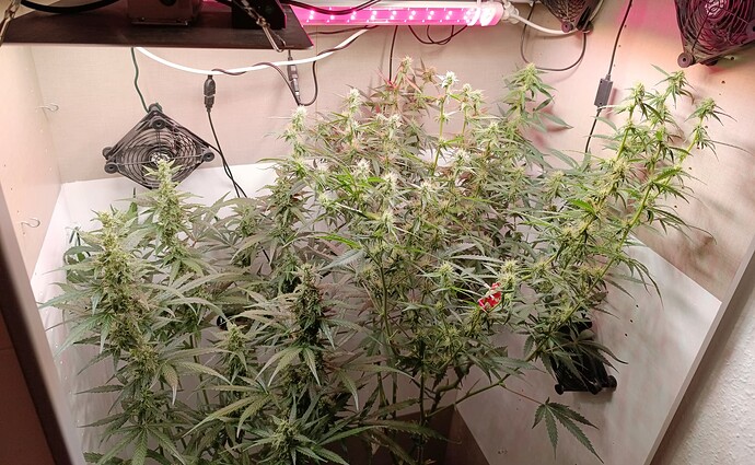 Growreport Bild 22