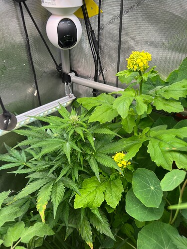 Growreport Bild 55