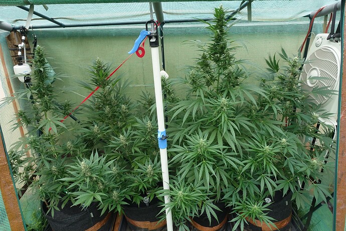 Growreport Bild 4