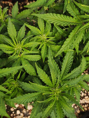 MVIMG_20251016_171320