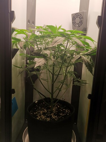 Growreport Bild 7