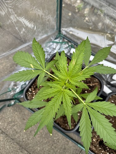 Growreport Bild 2