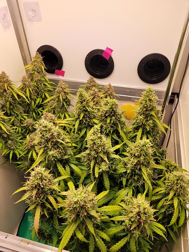 Growreport Bild 18