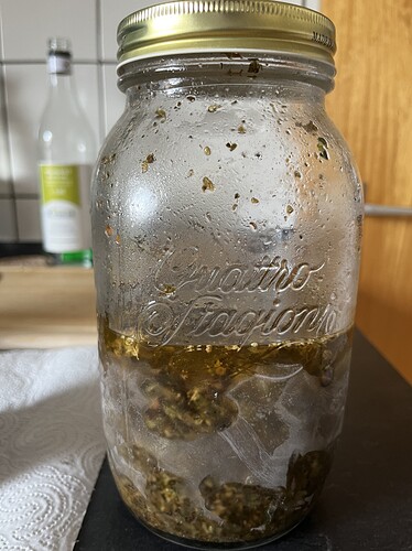 3 Damen vom Stamme der Sativa und ein neuer Versuch (mit kalten Füßen und dicker Winterjacke)