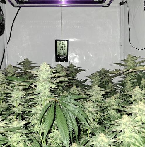 476429395_122166995396293599_191416499556967333_n