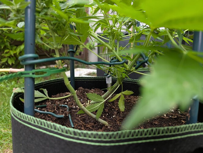 Growreport Bild 10