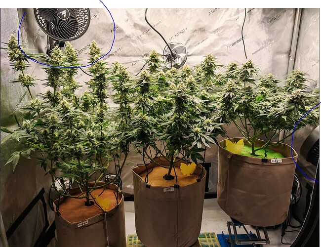 Growreport Bild 12