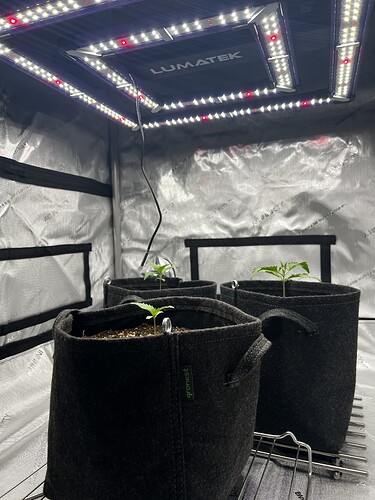 Growreport Bild 17