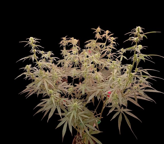 Growreport Bild 18