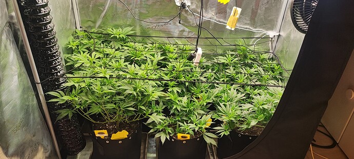 Growreport Bild 1