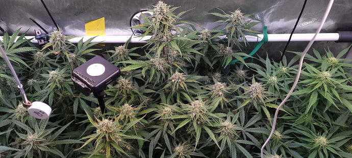 Growreport Bild 48
