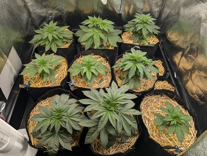 Growreport Bild 2