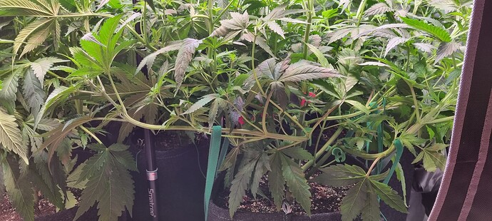 Growreport Bild 11