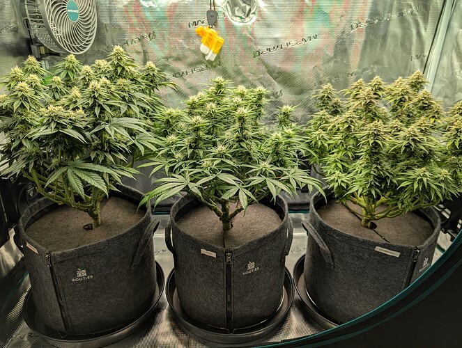 Growreport Bild 12