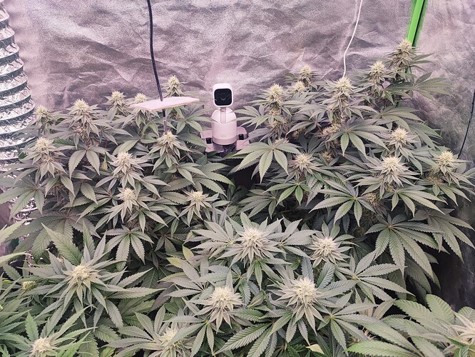 Growreport Bild 11