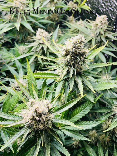 Growreport Bild 10