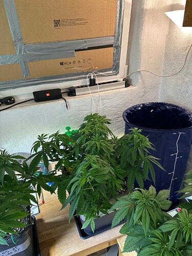 Growreport Bild 11