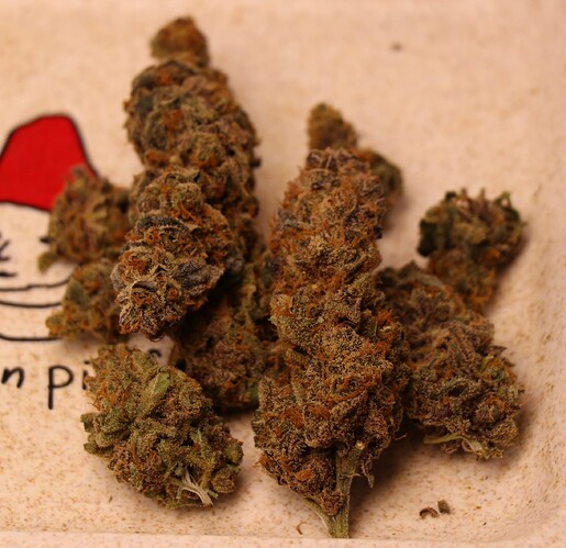 Growreport Bild 57