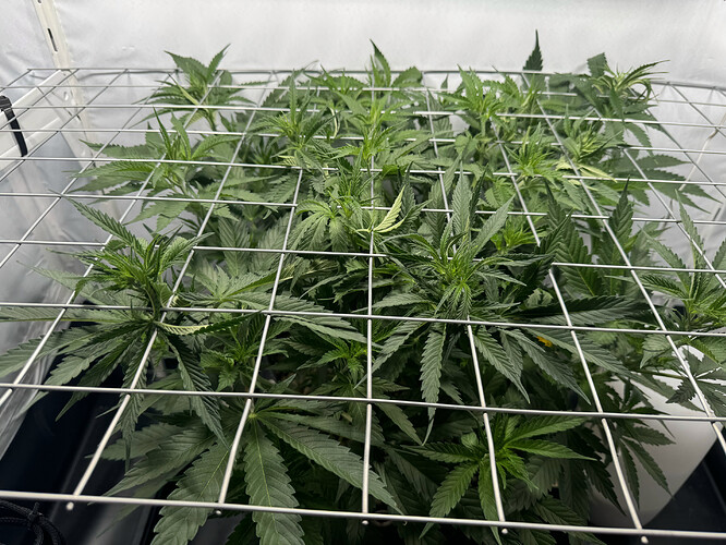 20240514_145649826_iOS