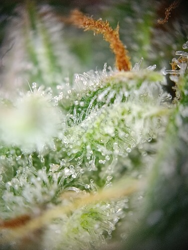 Growreport Bild 12