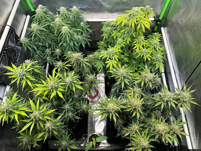 Growreport Bild 28