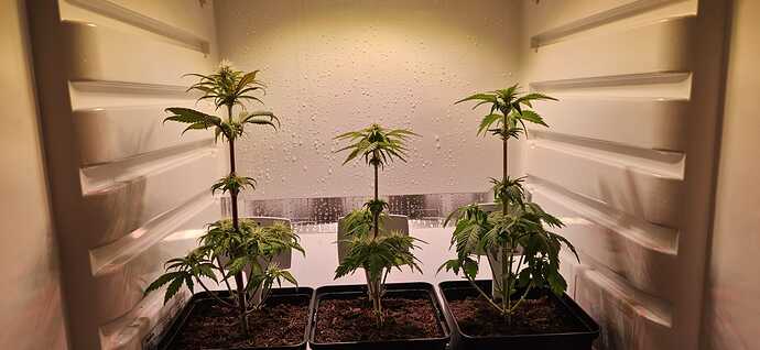 0ccfbeee-c636-4ac9-815e-4b30f665641c