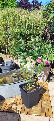 Growreport Bild 1