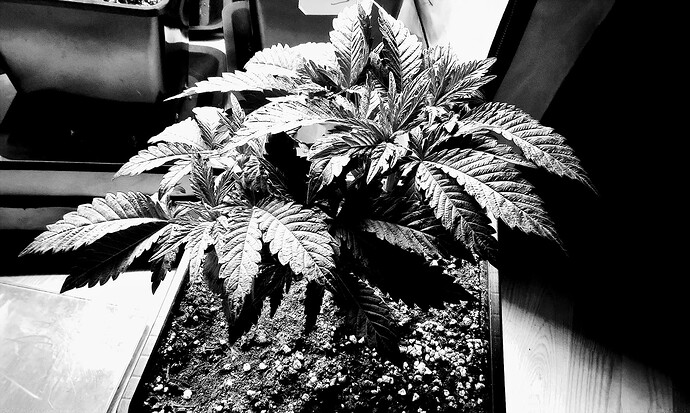 IMG_20251027_093027~2