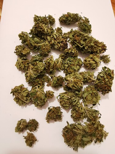 Growreport Bild 15