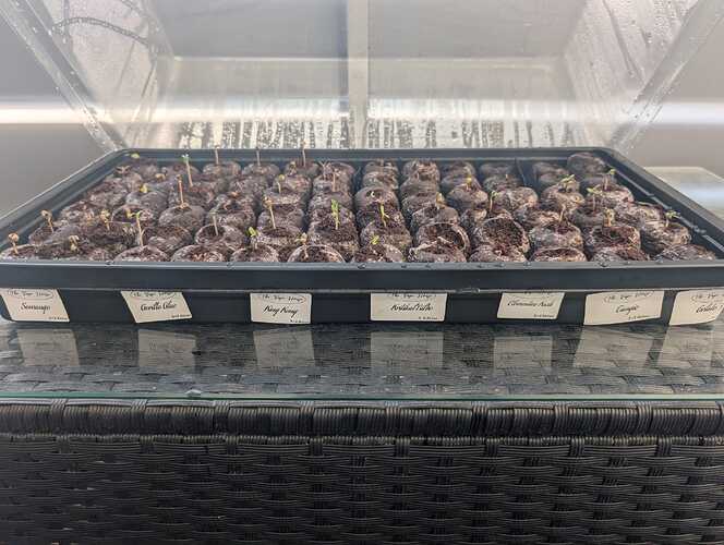 Growreport Bild 13