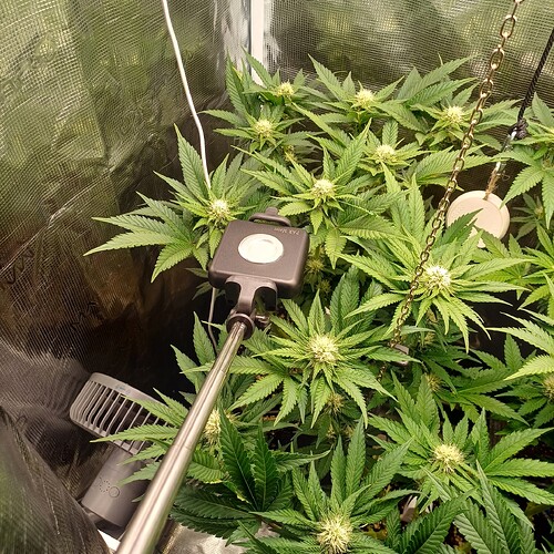 Growreport Bild 22