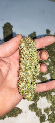 Growreport Bild 10