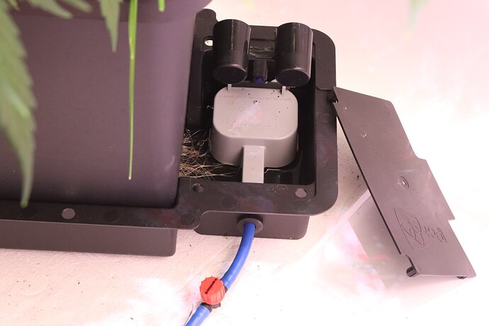 Growreport Bild 5