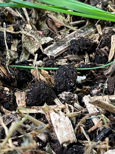 Growreport Bild 3
