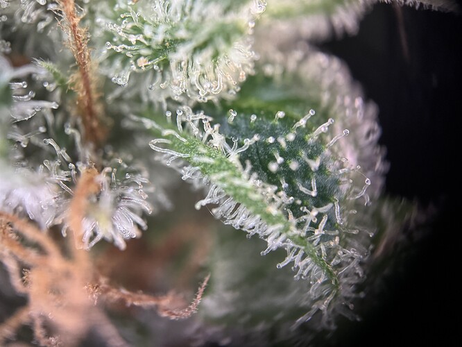 Growreport Bild 8