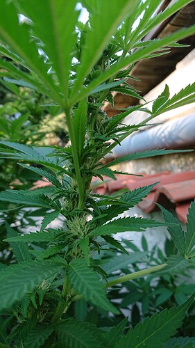 Growreport Bild 10