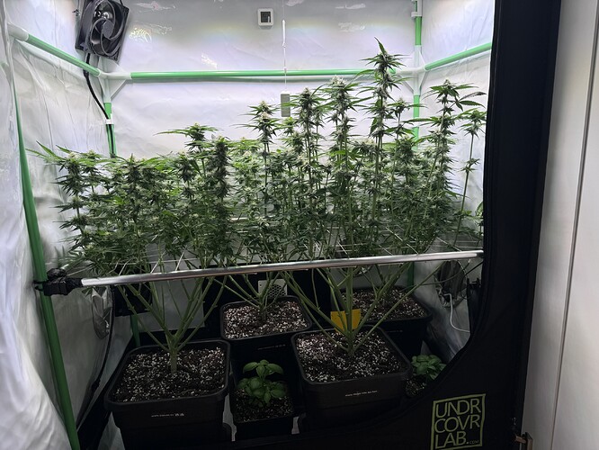Growreport Bild 8