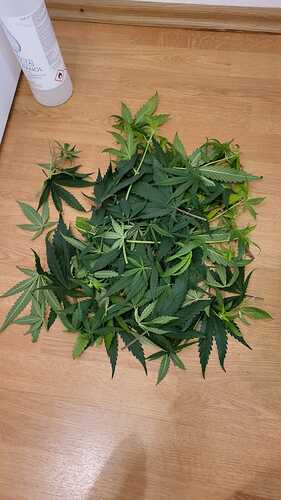 Growreport Bild 11