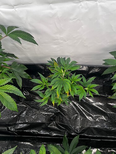 Growreport Bild 14