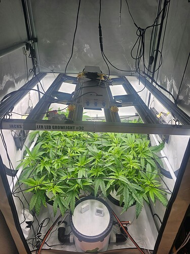Growreport Bild 5