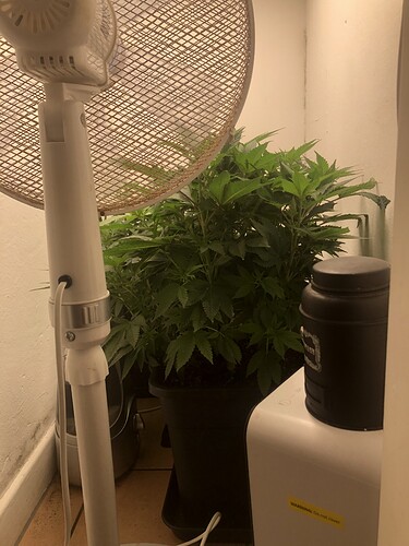 Growreport Bild 4