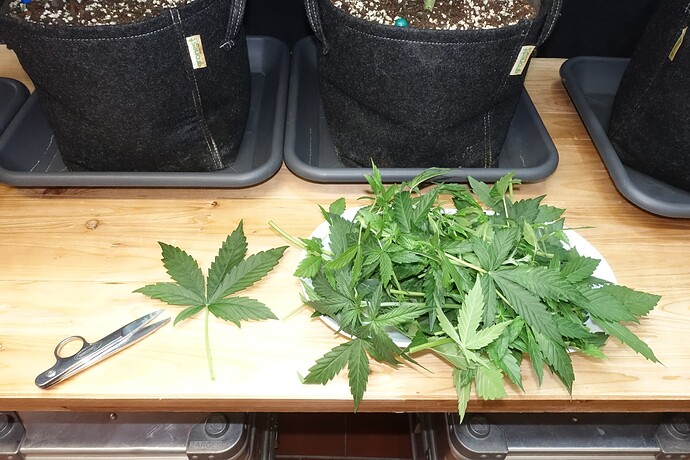Growreport Bild 18