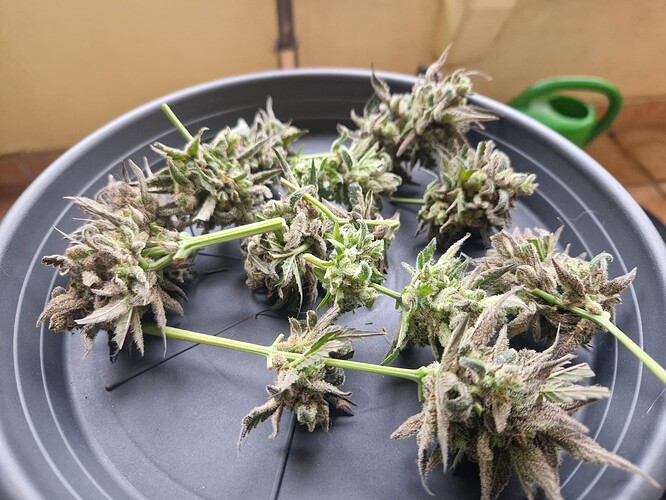 Growreport Bild 20