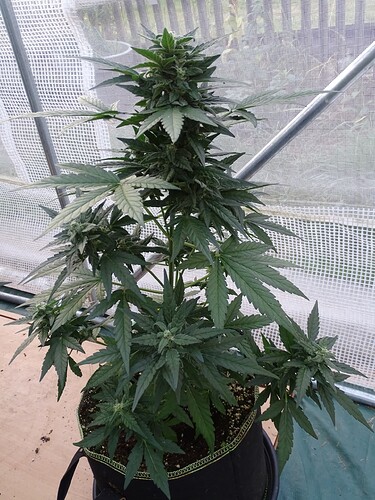 Growreport Bild 8