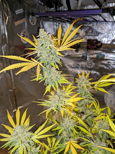 PXL_2024
